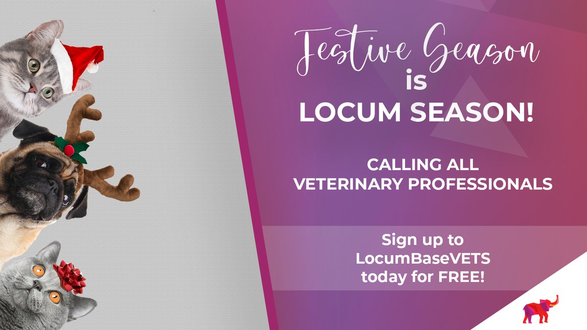 LocumVetfinDR's tweet photo. Festive Season is Locum Season!🎉

With a busy upcoming season, take the opportunity to earn extra cash and make the most of your skilled hours by signing up to https://t.co/TGw6TXdeYl for free!🚀

#LocumSeason #FestiveSeason #LocumLife #Veterinarian #LocumRevolution https://t.co/RQbaFQ4w7w