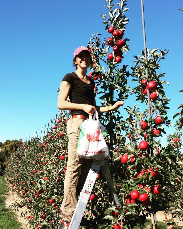 New York State IPM (@nysipm) on Twitter photo Big news for @NYSIPM--we're excited to welcome Anna Wallis as our program's newly-appointed Fruit IPM Coordinator blogs.cornell.edu/nysipm/2022/11….
<a href="/SmallFarmsProg/">Cornell Small Farms Program</a> <a href="/CornellAgriTech/">Cornell AgriTech</a> <a href="/CornellCALS/">Cornell CALS</a> Big news for @NYSIPM--we're excited to welcome Anna Wallis as our program's newly-appointed Fruit IPM Coordinator blogs.cornell.edu/nysipm/2022/11….
<a href="/SmallFarmsProg/">Cornell Small Farms Program</a> <a href="/CornellAgriTech/">Cornell AgriTech</a> <a href="/CornellCALS/">Cornell CALS</a>
