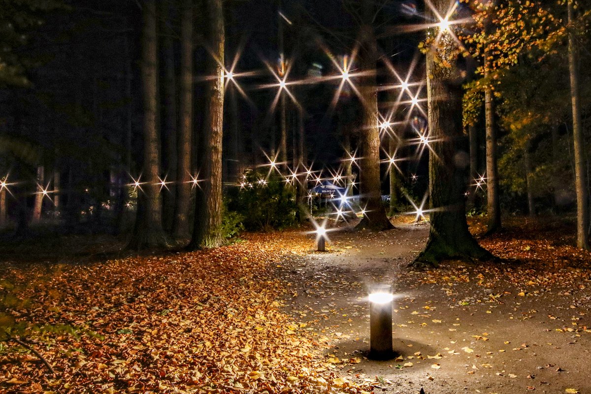 ForresLocal's tweet image. Brodie Castle like you've never seen it before.

Brodie Illiuminated opens to the public today (2 Nov) and is on from 5pm to 9pm Wednesday to Saturday until 26 November.

forreslocal.com/brodie-family-…

#ForresArea #ForresEvents #ForresBeautiful #ForresLovesLocal @BrodieCastleNTS