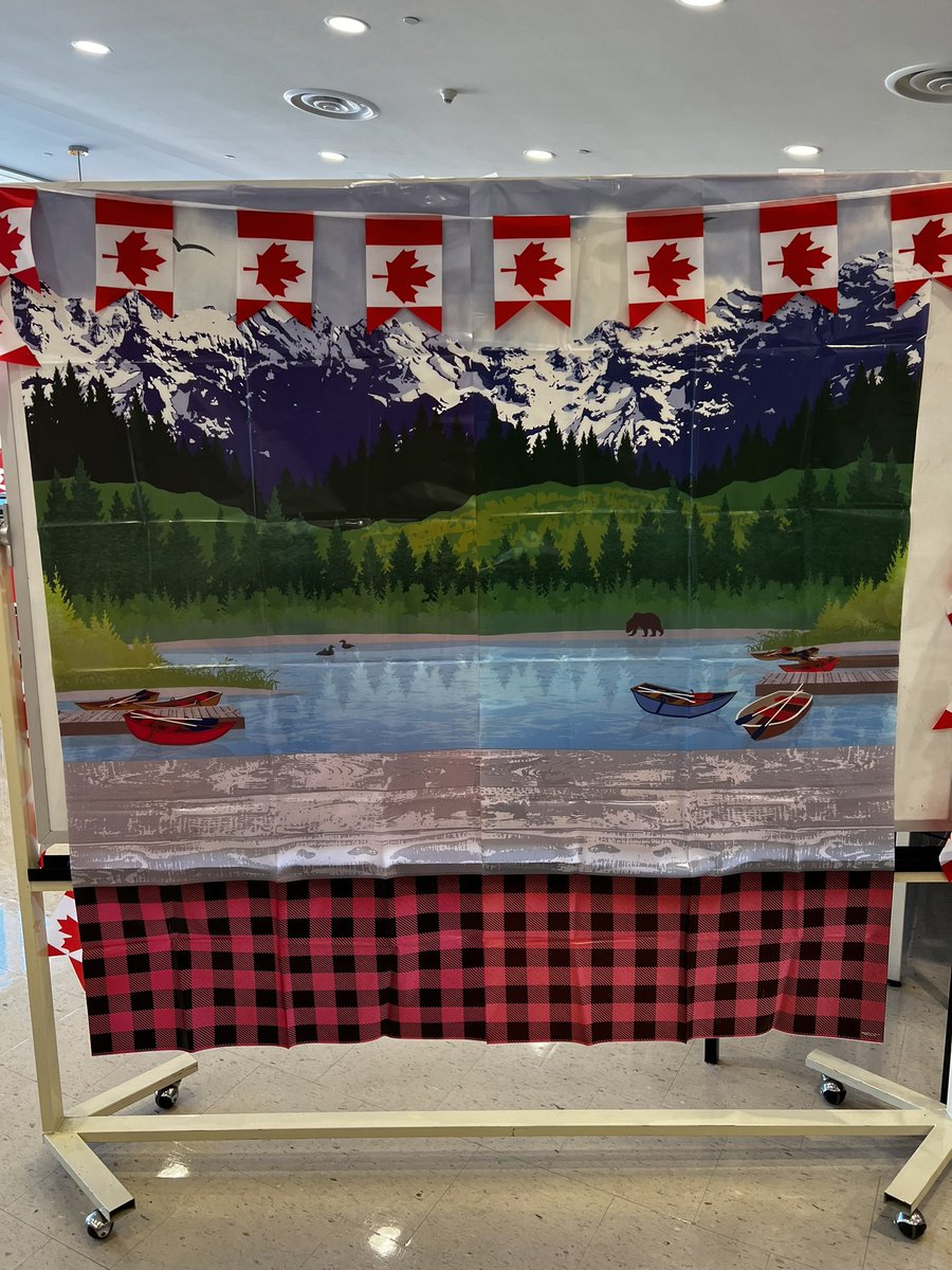 OLQWLLC's tweet photo. Today’s the day @OLQWCA @ireadcanadian @ForestofReading #YCDSBLibraries https://t.co/S43gHQasCG