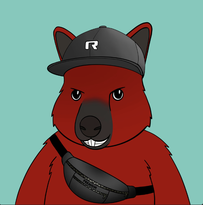 Just got myself a <a href="/RooTroopNFT/">Roo Troop</a>, should of got it a long time ago! <a href="/hzspitz/">Hayden Spitz</a> do Roos follow Roos? Lions🤝Roos