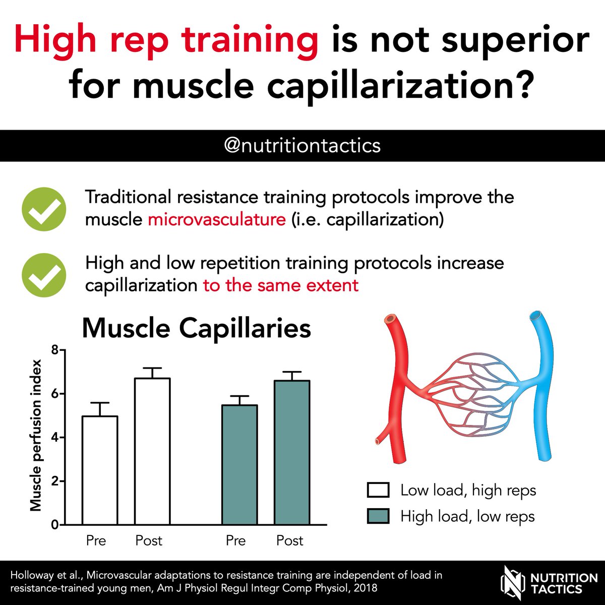 Are high rep resistance training protocols superior to increase muscle capillarization? A thread 🧵👇 #capillarization #highrep #resistancetraining