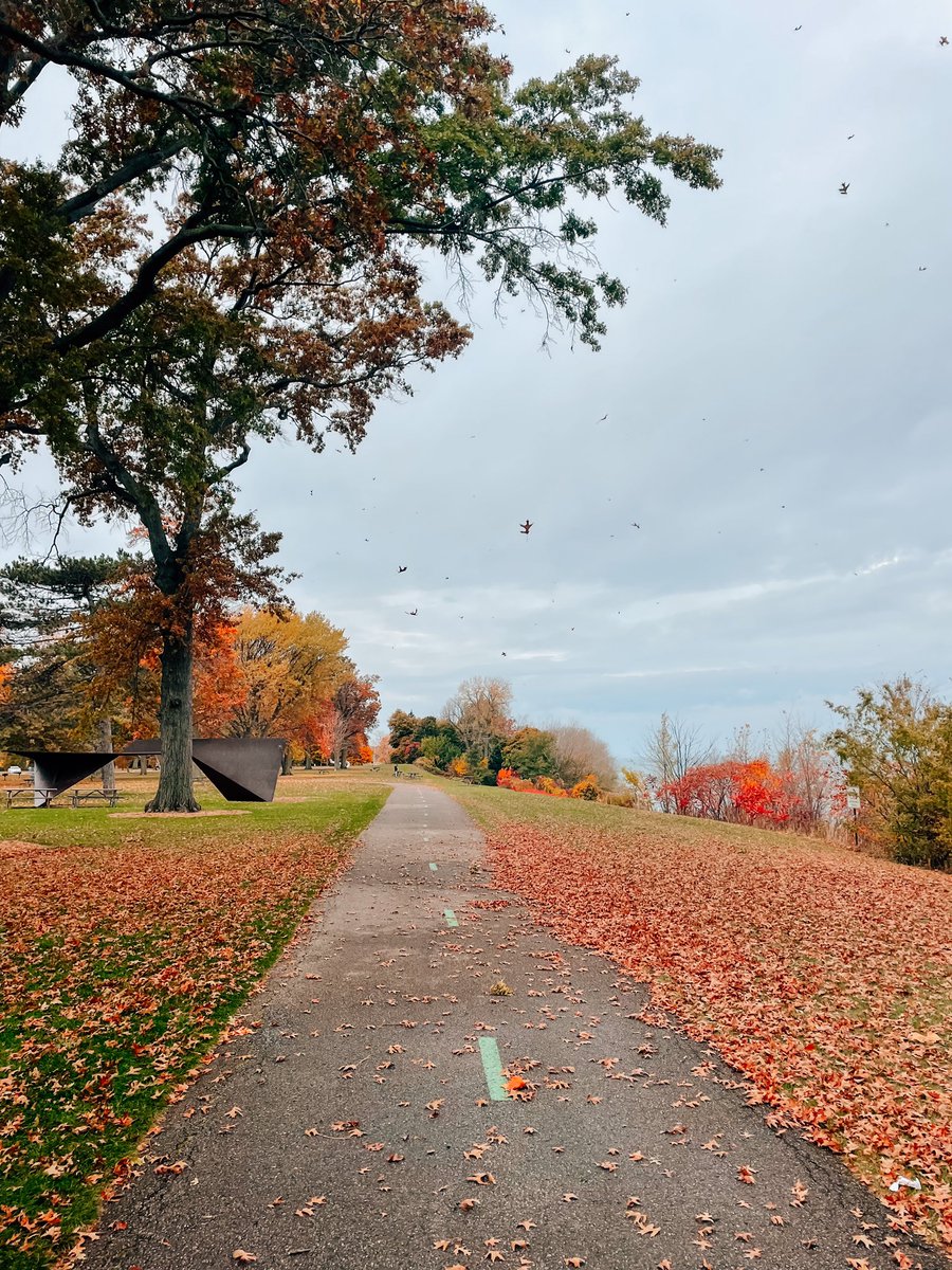 Edgewater Park in the fall 😍
