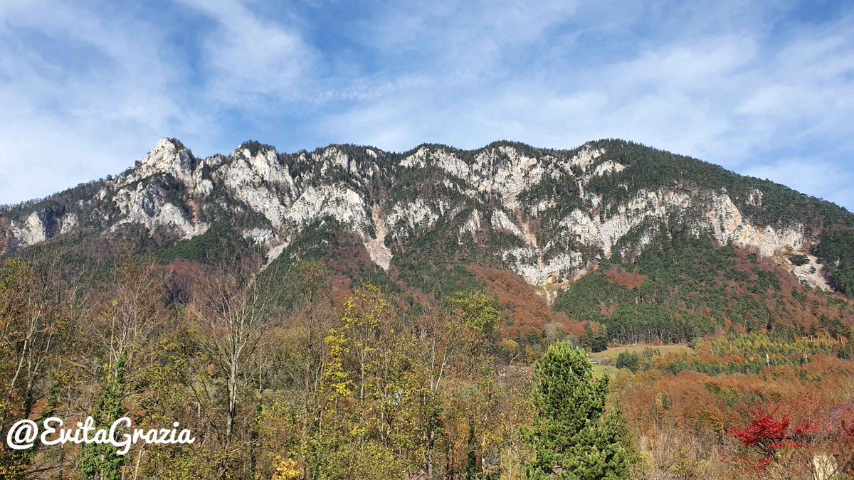 EvitaGrazia's tweet photo. Yesterday, near Payerbach and Reichenau.
Today I invested an hour to find out the name of the mountain, but I was not successful. 🤷🏻♀️
#Austria #alps #mountains
#Payerbach #Reichenau
#photography https://t.co/qNkTtYi6TU
