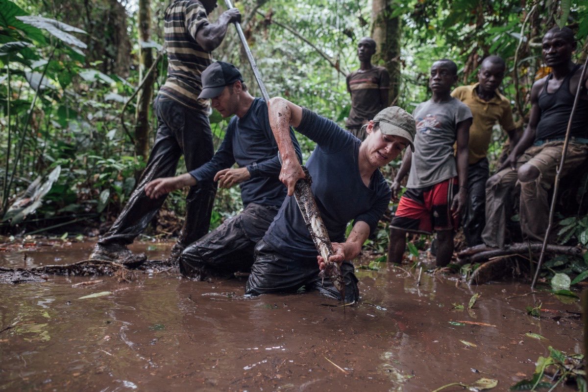 Happy to see years of fieldwork and years of lab work published in ⁦<a href="/Nature/">nature</a>⁩ on the Congo peatlands, showing their history for the first time, and their vulnerability to drought.