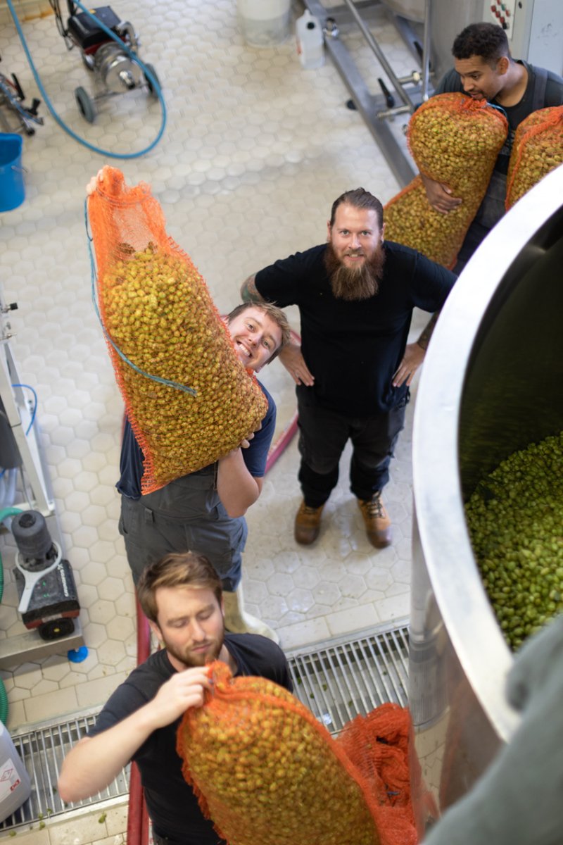 HOP IT LIKE IT’S HOT 🌱 

Our Wet Hop Pale with <a href="/brookhousehops/">Brook House Hops</a> is finally out. We're chuffed. So are our brewers - evidenced by these very hoppy shots from our brew day.