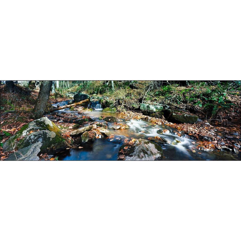 jevvi's tweet photo. Bushkill Falls, PA
Linhof Technorama 617s III | Super-Angulon XL 90mm f5.6 | Kodak Ektar 100
#bushkillfalls #bushkill #waterfall #scenicpa #waterfalls #hike #hiking #trail #landscapephotography #naturephotography #fallphotography #visitpa #pennsylvaniai… https://t.co/kR2FBKvxcI https://t.co/gpqJajfCnD