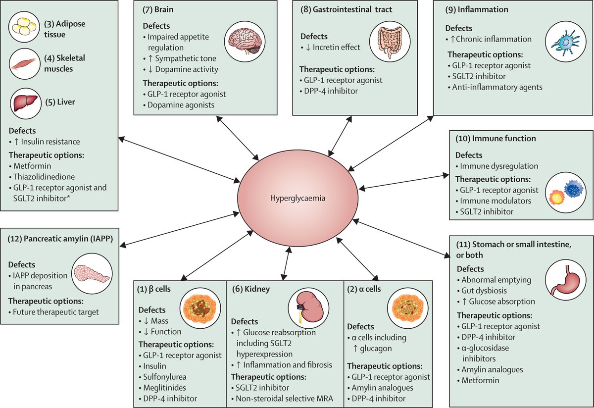 Type 2 diabetes accounts for nearly 90% of the approximately 537 million cases of #diabetes worldwide. This new Seminar offers a clinically focused review of the recent developments in care, including controversies & future directions: hubs.li/Q01rdgXz0