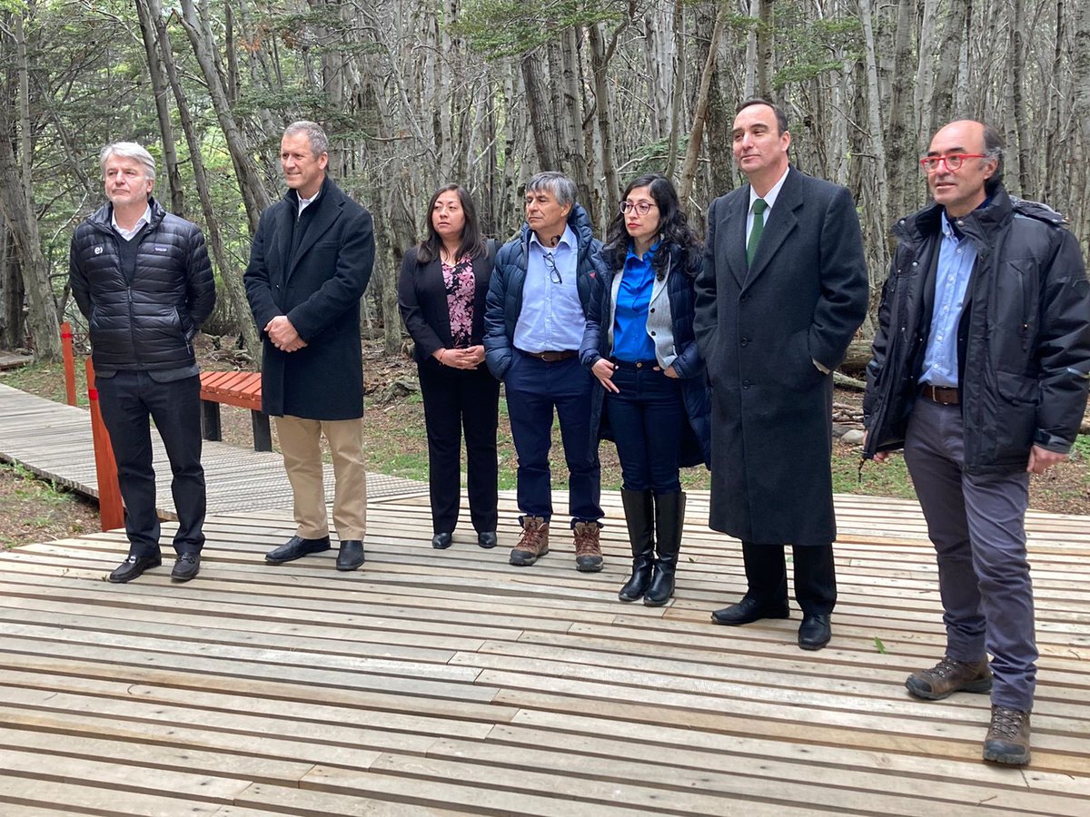 Gore Magallanes Oficial tweet media