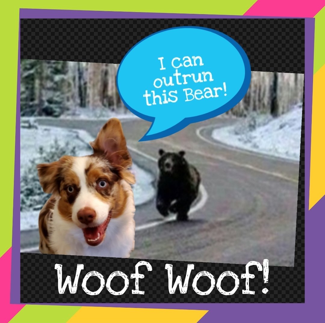 Larry Smith 💫 tweet media