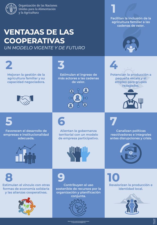 FAO Paraguay on Twitter: "📌Por su rol en las distintas fases de las cadenas  agroalimentarias, las #Cooperativas permiten desarrollar políticas  reactivadoras ante las crisis y avanzar en la transformación de los  #SistemasAgroalimentarios.