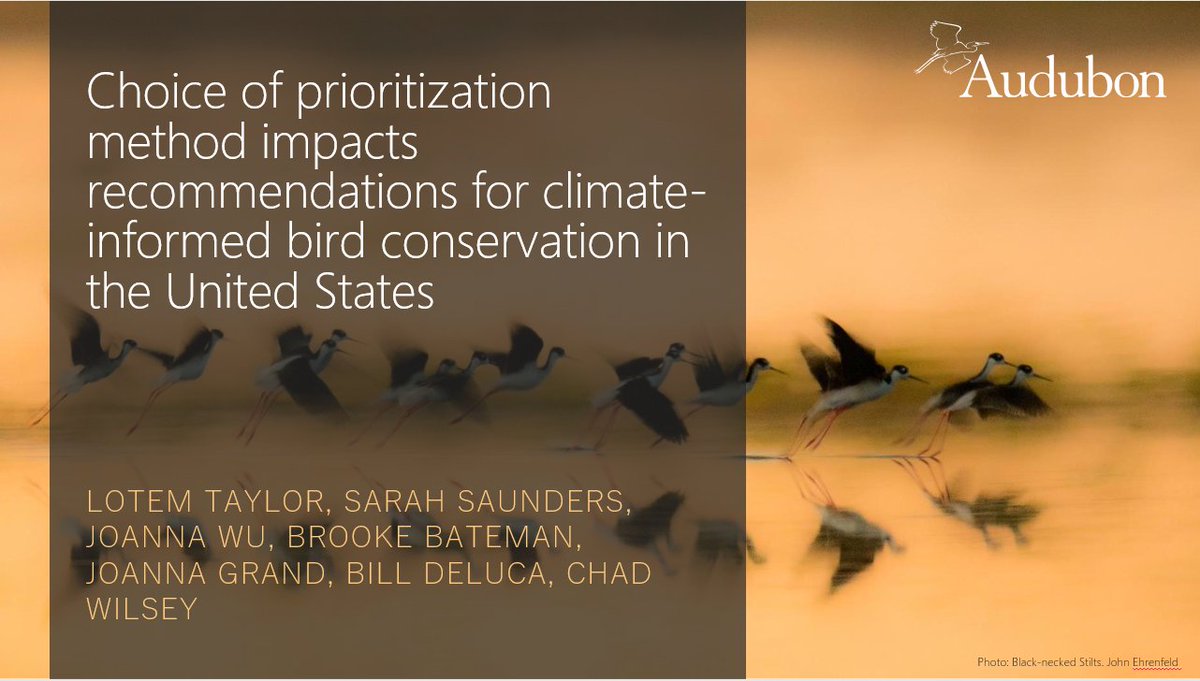 |* New research *| My colleagues on the science team <a href="/audubonsociety/">Audubon Society</a> and I recently published a study in <a href="/EcographyJourna/">Ecography</a> (open access!) that asked: how does prioritization method impact bird conservation recommendations under climate change? doi.org/10.1111/ecog.0…