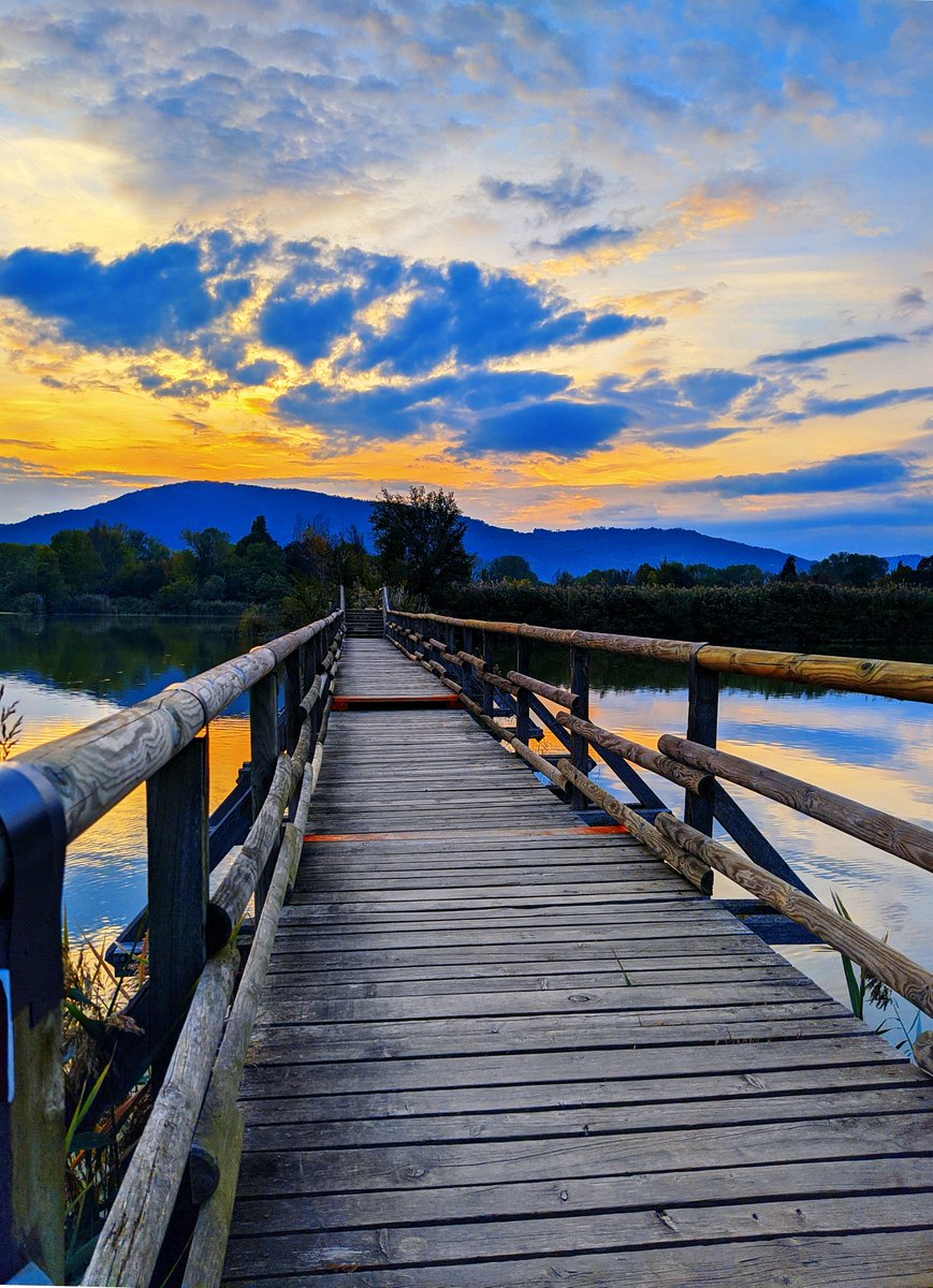 lucio_3d's tweet photo. " Non voltarti a guardare indietro..Non e' li che stai andando " Buona serata a tutti 🤗😘🥂
📷 Fatta da me #torbieredelsebino #iseo #lagodiseo #iseolake #sunset https://t.co/ZhLGU6xNG8