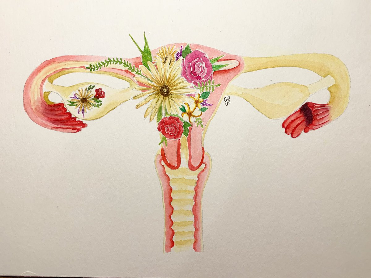 TLDR from my a much more impassioned Instagram post: 
A vote for Proposal 3 is a vote for women. Trusting us. Believing in us. And empowering us. (My original art)