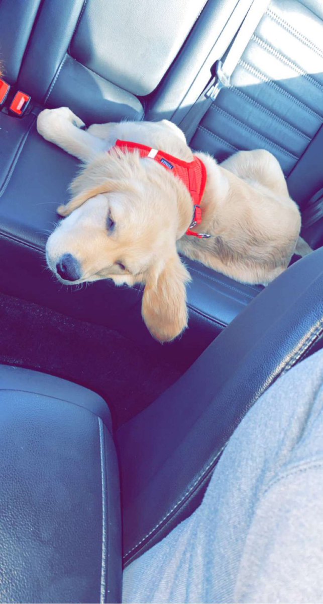 Baby Marley 😭