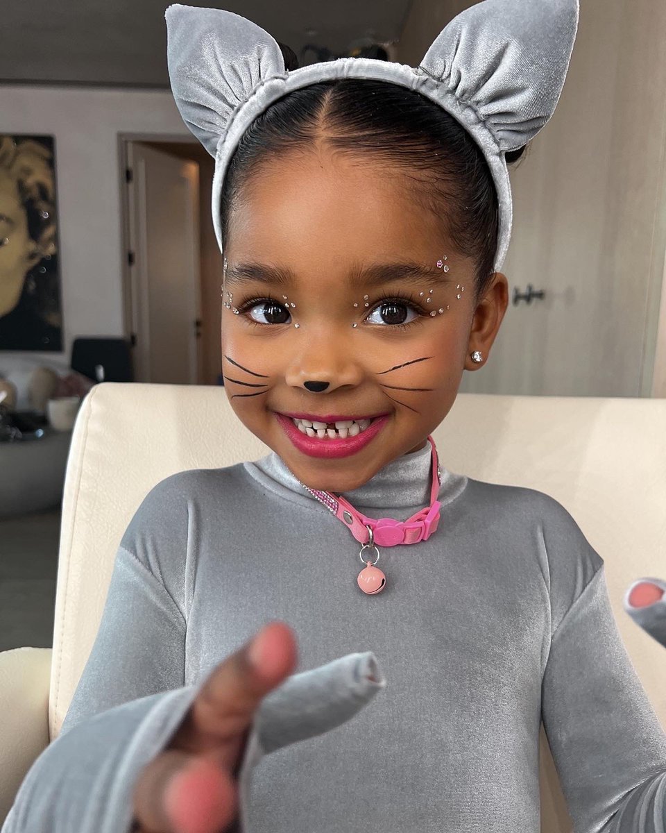 khloekardashian's tweet photo. Grey Kitty https://t.co/325jPybSYx