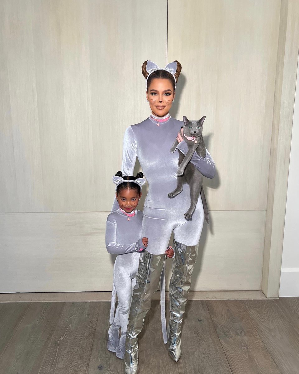 khloekardashian's tweet photo. Grey Kitty https://t.co/325jPybSYx