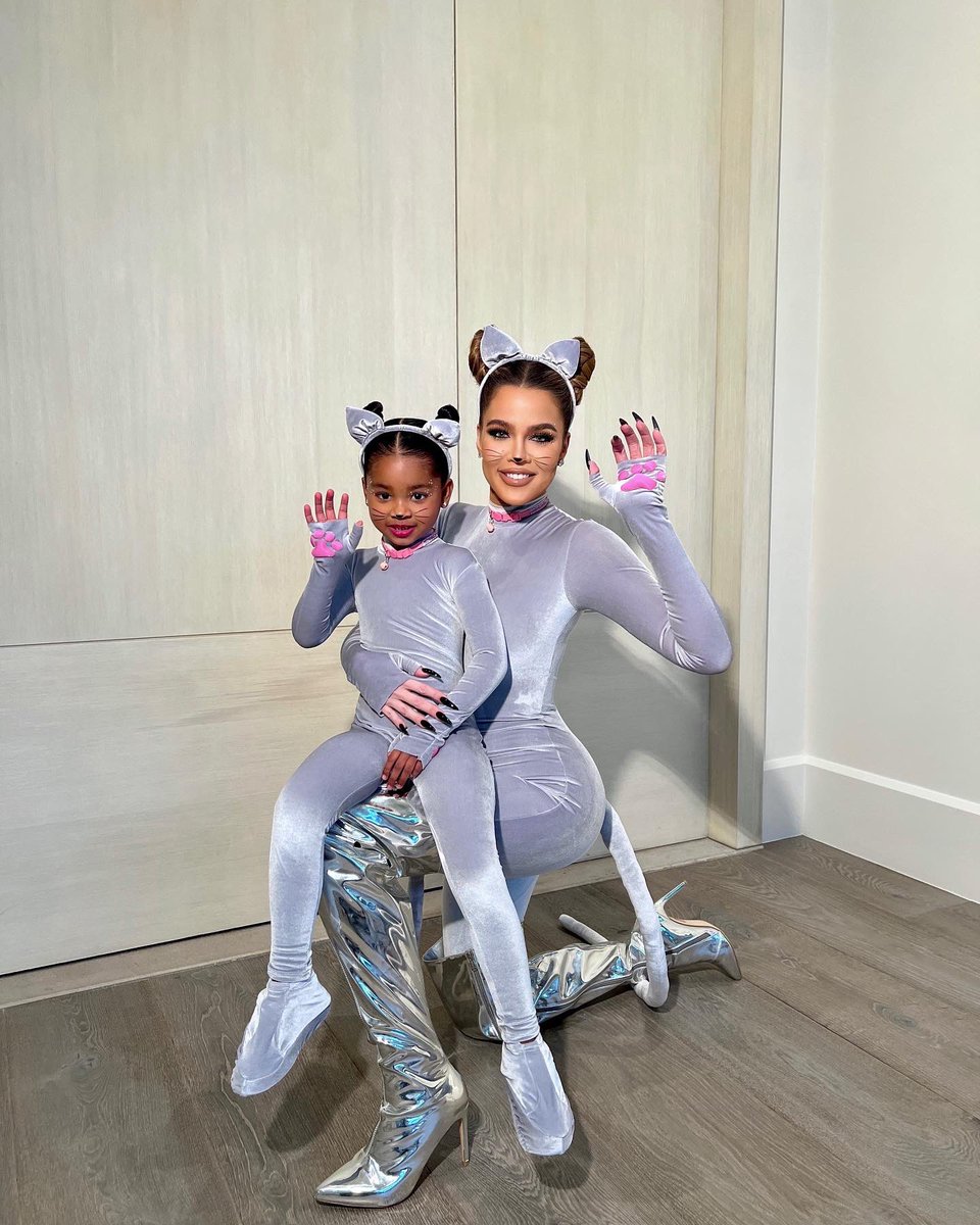 khloekardashian's tweet photo. Grey Kitty https://t.co/325jPybSYx
