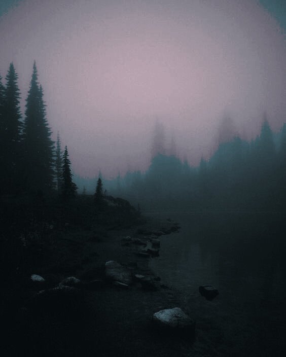RancorousRage's tweet photo. Keep on the garden path and you wonโt lose your way.
We enter the maze when the sky dulls to grey. 6:30 p.m. EST.
#PredatorsandPrey https://t.co/ME0QqFpYJt