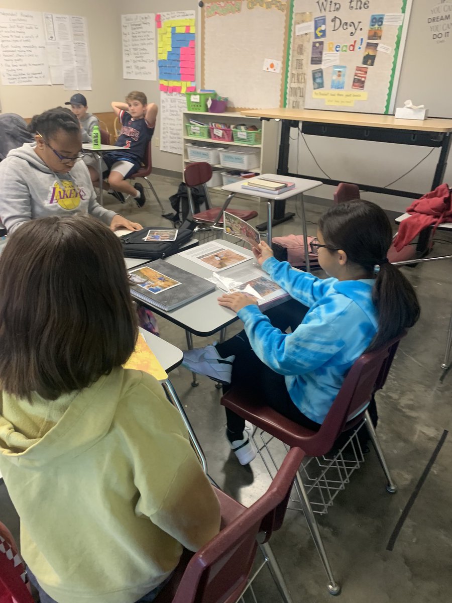JodiBoschert's tweet photo. Today’s activity was used to encourage critical thinking. This was our first time to use the Information Sort strategy. There were lively discussions and after a learning curve this activity can become even more meaningful. #risktaking #middleschool #OFarmPride https://t.co/qVfPuMLRCv
