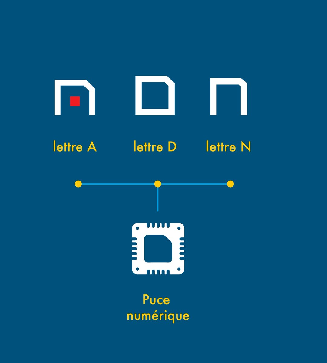 migishaofficiel's tweet photo. Voici le gagnant du concours "crée le logo de l'ADN" !
Il s'appelle Francis Nshokano Mweze et il est originaire du Sud Kivu. 
Les membres du jury de l'ADN ont particulièrement apprécié son audace, sa créativité et sa subtilité.
Il y a du talent en RDC 🇨🇩
@Presidence_RDC 
@AdnRdc https://t.co/RL2hN7sRka