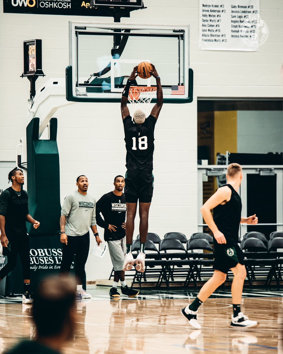 Wisconsin Herd tweet media
