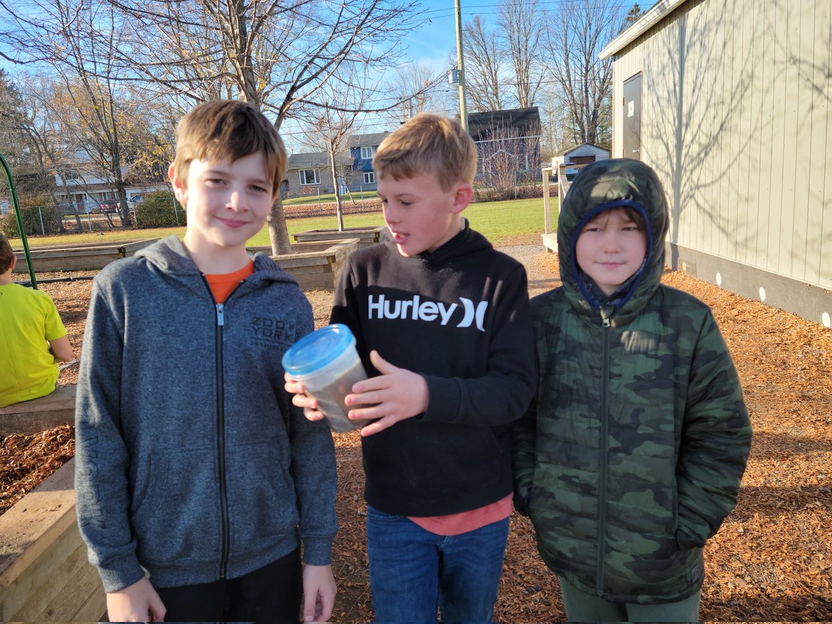 Colleen Bailey tweet media