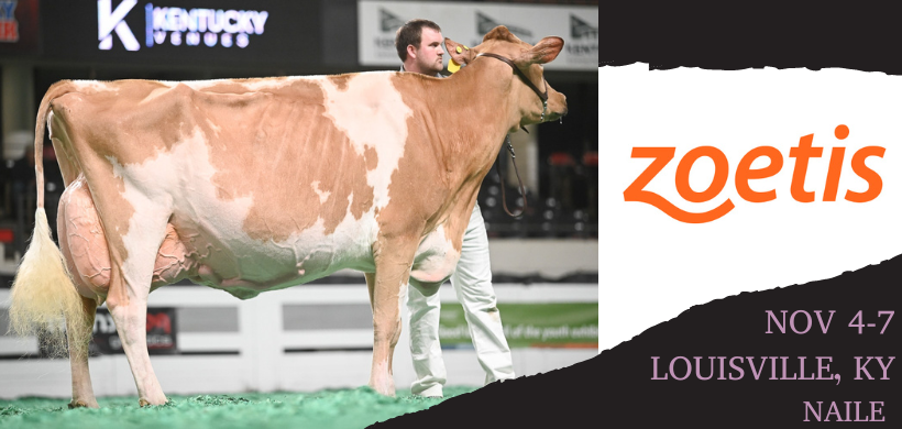 Cowsmo is heading to the green shavings to catch all the action in Louisville! - mailchi.mp/2d16b520ecc7/n…