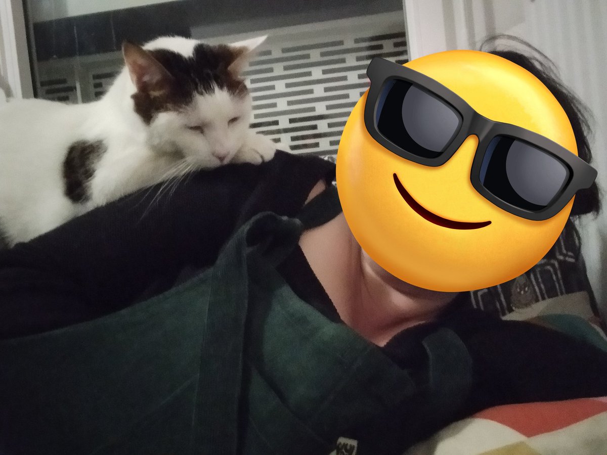 RonMagellan's tweet photo. Jo suis le potipot de glue https://t.co/9gBWLthsGA