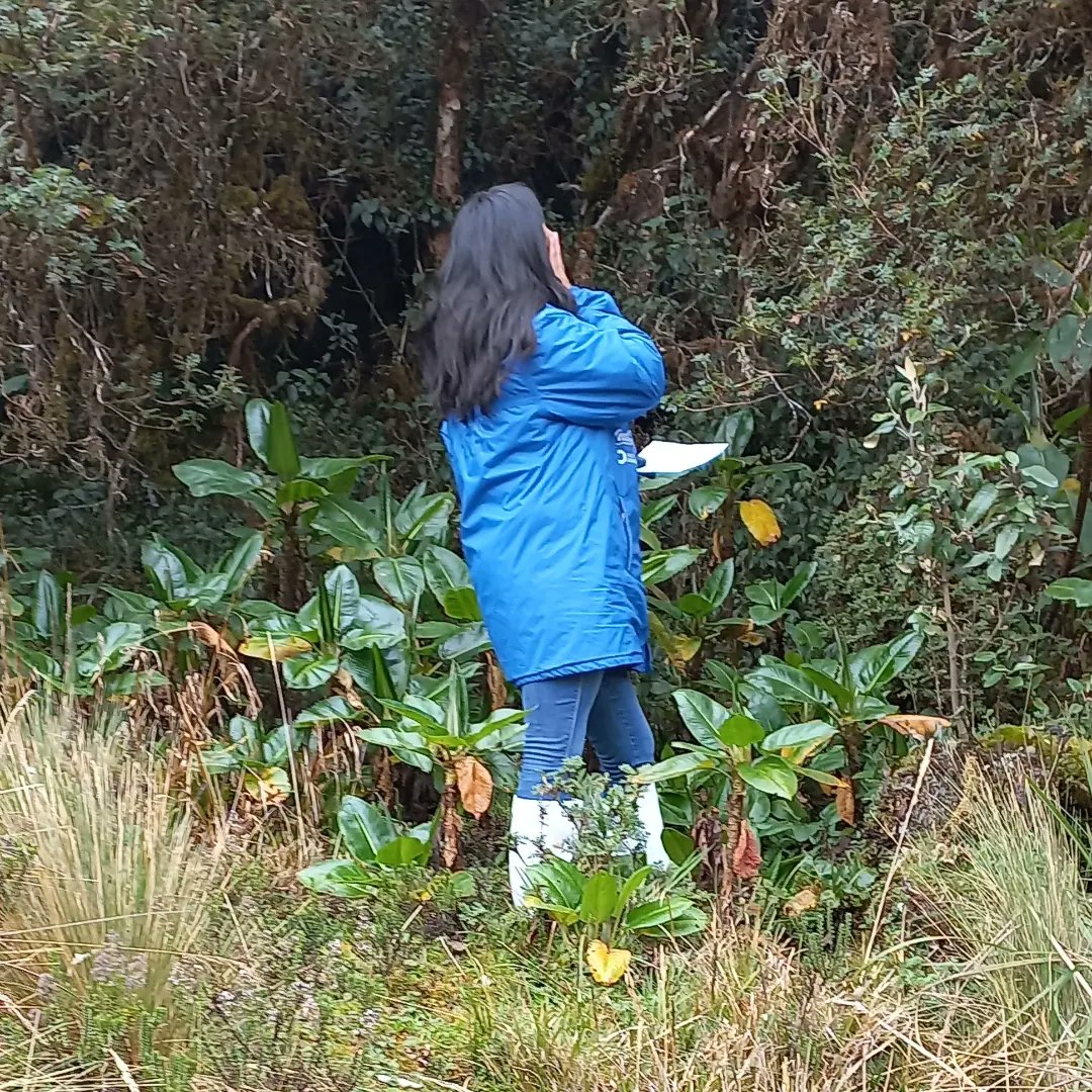 Para el HANS-BANK es grato recibir a nuestra tercera generación de tesistas estudiantes de Biotecnología de la <a href="/ESPEU/">ESPE</a>. Sus estudios se centrarán en especies vegetales leñosas y almohadillas nativas del páramo ecuatoriano <a href="/BioGeec/">BIO GEEC</a>

#biodiversity #andesecuador #conservation