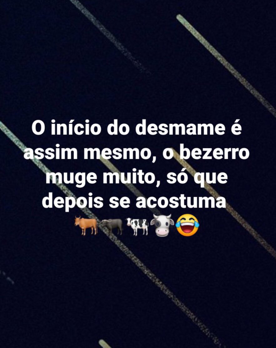 Claudia Schumacher tweet media