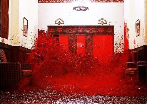 Catingaround tweet media