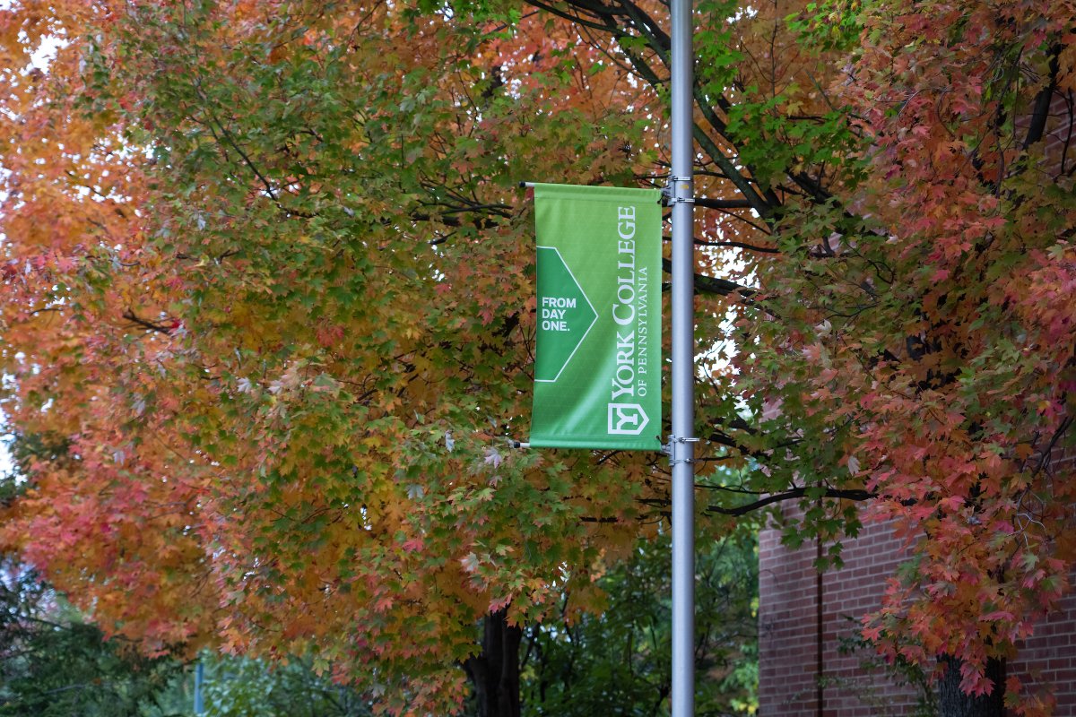 We have great news! Our Early Decision Application deadline has been extended to December 1! 

Apply today ⤵️ 
admissions.ycp.edu/apply/