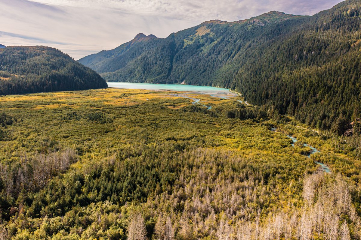 CopperWatershed's tweet photo. This magnificent, massive watershed is the home of diverse wildlife habitat for bears, caribou, moose, mountain goats, sheep, wolves, waterfowl and many other species, including humans. This place we live is one of the last intact watersheds in North America.
How lucky are we? https://t.co/OGazlEAXJc