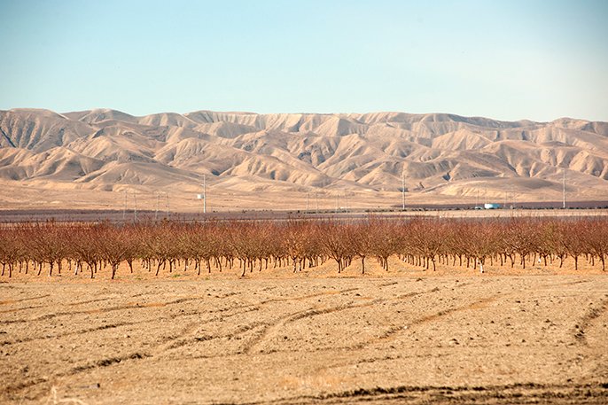 Drought -- UC Merced researchers estimate $3 billion in damages to California agriculture in last two years,  with more than 750,000 acres fallowed in 2022.
Read more ➡️plantingseedsblog.cdfa.ca.gov/wordpress/?p=2…