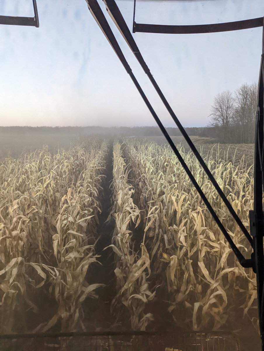 fischer_theo's tweet photo. Dust is hanging around tonight as #corn22 rolls on https://t.co/rPT6HDbHpW