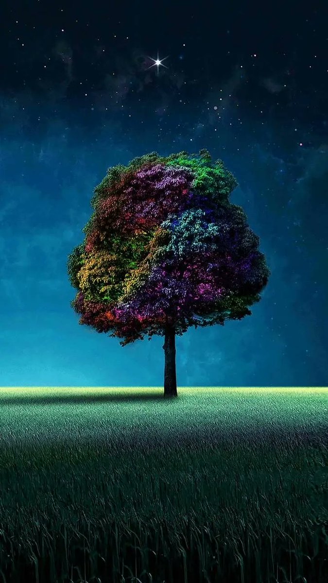 Often, all people need and want is for you to listen. Listening to someone might seem like an easy task but it is actually a lost art that people don’t understand.