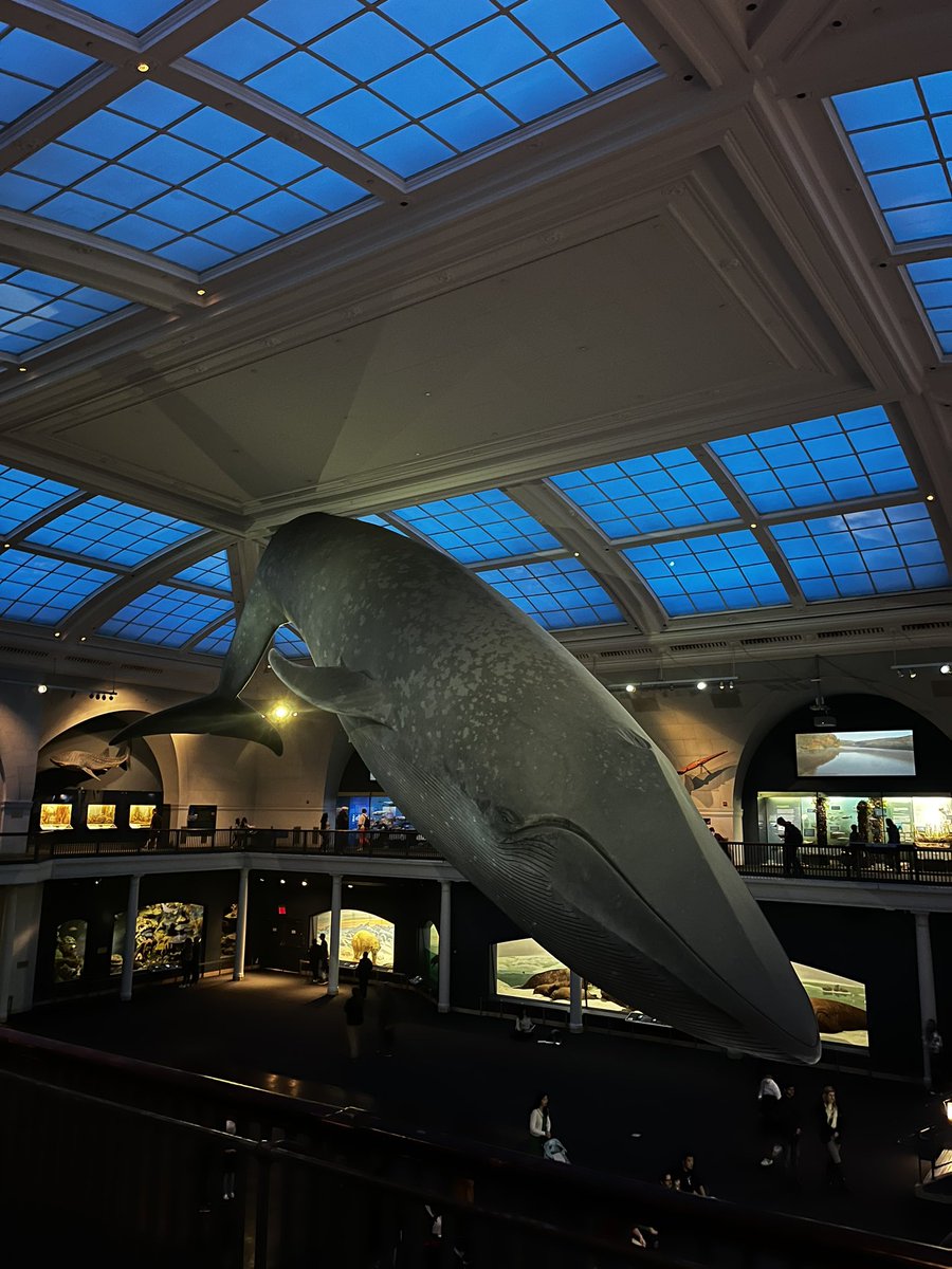 ellen_macmahon's tweet photo. The end to a trip of a lifetime. Natural History Museum and the Hall of Ocean Life was the highlight. Need for effective ocean conservation is a global issue 🌊 https://t.co/2N8eXJxFKa