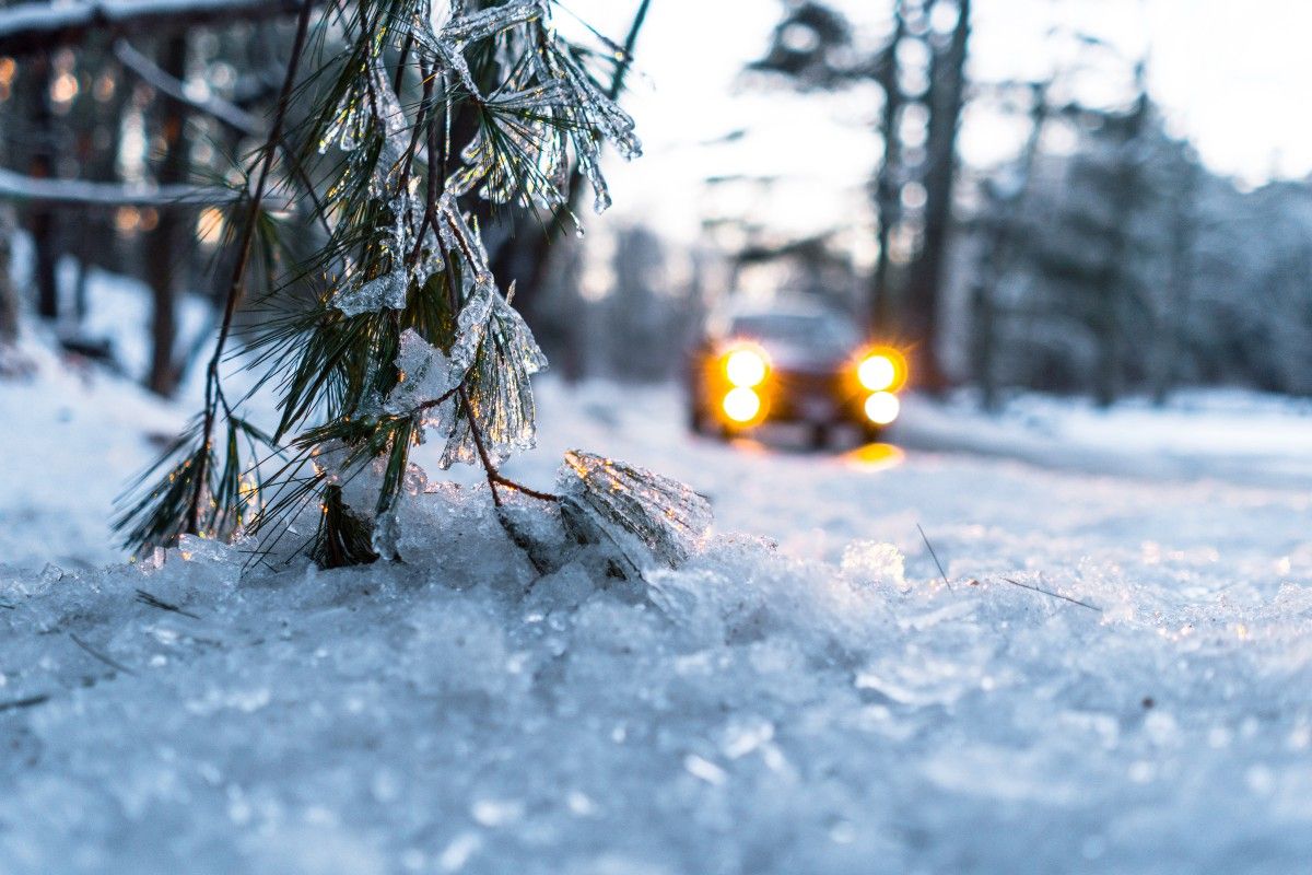 NAU's tweet photo. 👀 How to navigate in the snow and on the road? 🚘
We've got you covered with our winter driving tips: https://t.co/MG3L80D84B. #KnowSnow https://t.co/y6e6kxKz5F