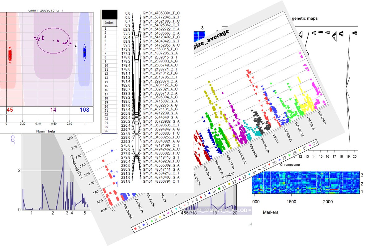 I've been doing too much computer stuff aka basically reformatting. Hopefully back to molecular and agrobacterium work soon!