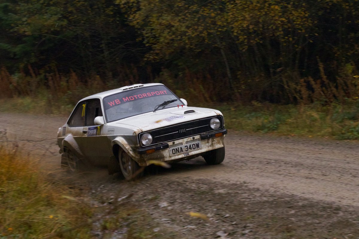 DolphinW tweet media