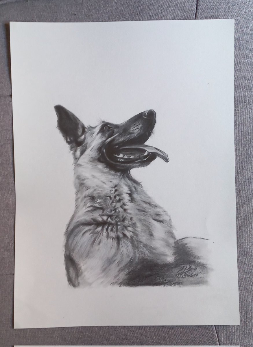 liviu_anca's tweet photo. Alma, suflet pierdut - desenat in creion 21x30cm.

"Este despre cel mai bun suflet pe care eu l am întâlnit
... Și l-am avut"#danielaflorentinaraducu

#art #passion #drawing #pencil #pencildrawing #lostfriend #lostsoul #dog https://t.co/YUROrdg07p