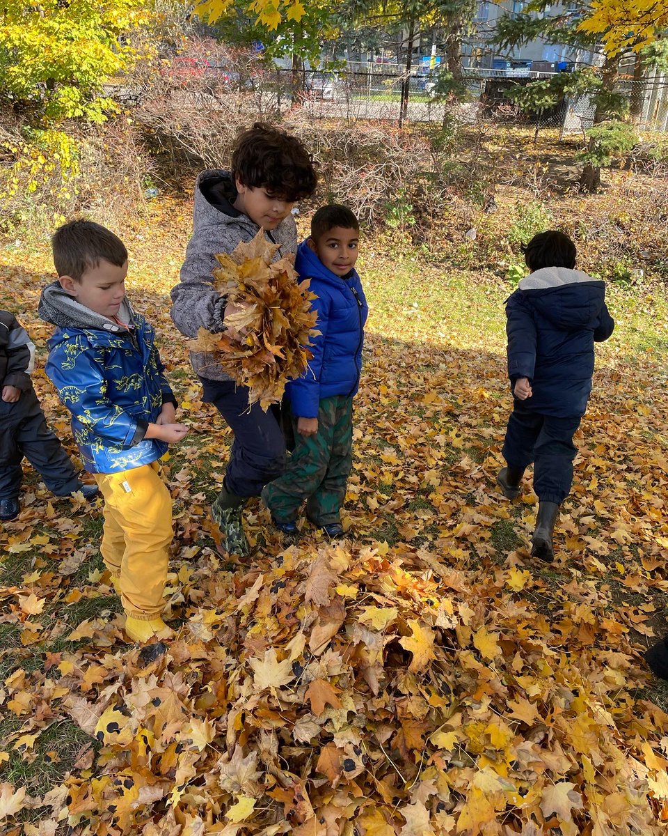 KinderKollegePS's tweet photo. Leaf peepers!! 🍂👀🍂 #autumn #autumnfun #leaves🍁 #leavesfalling #fallleaves🍁🍂 #playingintheleaves #throwingleaves #throwingleavesintheair #kkps30 https://t.co/HLJON12mhO