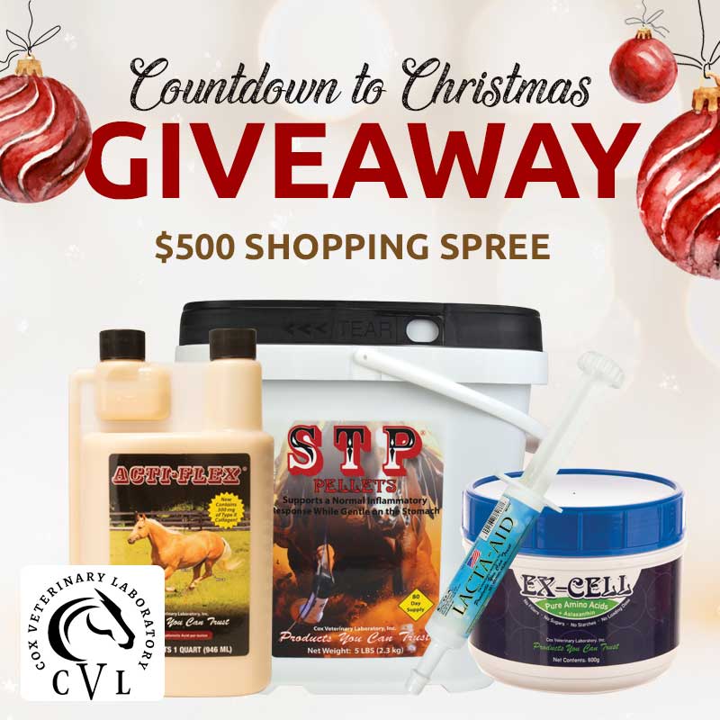 🎄 𝗖𝗼𝘂𝗻𝘁𝗱𝗼𝘄𝗻 𝘁𝗼 𝗖𝗵𝗿𝗶𝘀𝘁𝗺𝗮𝘀 𝗚𝗶𝘃𝗲𝗮𝘄𝗮𝘆 🎄
Cox Veterinary Lab are kicking off another year of Countdown to Christmas Giveaways! What better way to get in the spirit than to enter for a chance to win a shopping spree?! 

» Visit our IG or FB to enter!