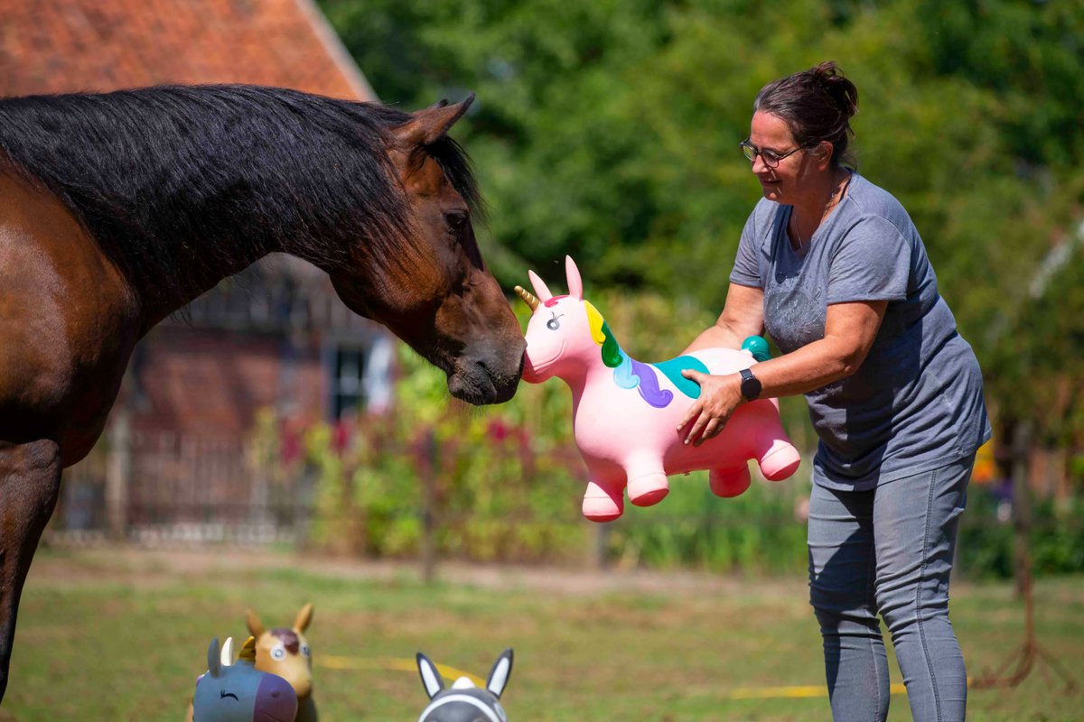 De laatste twee maanden van het jaar zijn aangebroken, maar er staat nog genoeg op de agenda.🐴 Op 7 en 8 november is de introductie opleiding. Deze korte leergang laat je op een leuke manier proeven aan het coachen met behulp van paarden. 
#opleiding #workshop #paardencoaching