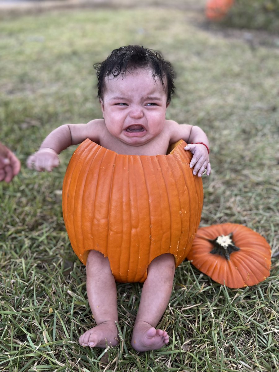 ebbyg7's tweet photo. October dump 🥹🧛🏻‍♂️🖤🎃 https://t.co/GwUG3y2ehn