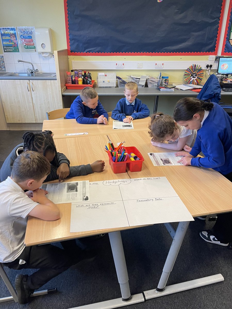 MissMachray's tweet image. Fantastic group work going on in Primary 3 this morning 🌟 we were reading information about different animals, summarising what we had read and then presenting our findings to the class 🔍 @HaghillTeam