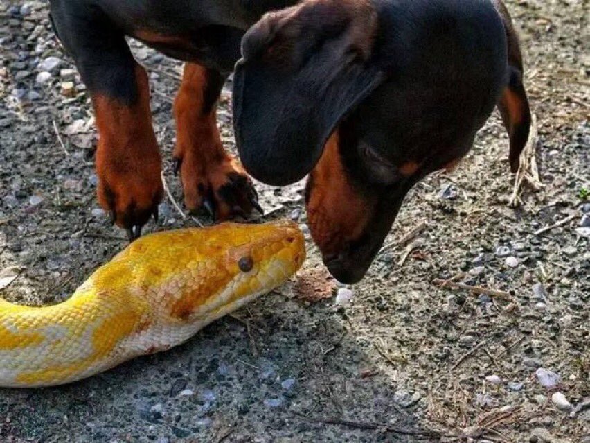 Arnold_Mutamiri's tweet photo. A rare picture of both genders😏 😂😂 https://t.co/21LwBULup3