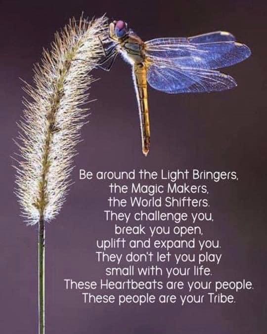 kerstie allen tweet media