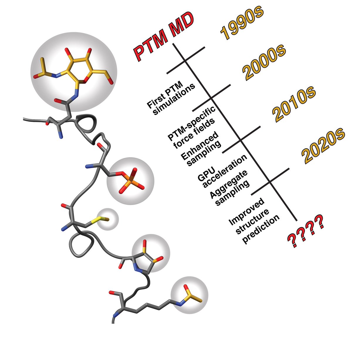 Thanks to @PCCP for invitation to write a perspective on “Thirty years of molecular dynamics simulations on #posttranslational modifications of #proteins”. #compchem @feng_jf8 @diwakarshukla pubs.rsc.org/en/content/art…